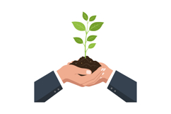 Hands holding soil with a green plant growing, flat vector i Product Image 1