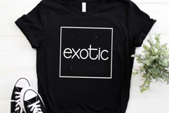 Typotext Product Image 2