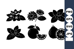Black Silhouette Citrus Fruits Flowers Vector Set Product Image 1