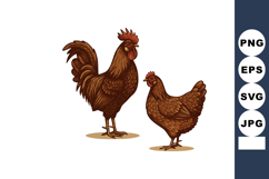 Brown rooster and hen farm birds detailed vector illustratio Product Image 1