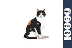 Calico cat sitting with attentive posture and distinct black Product Image 1