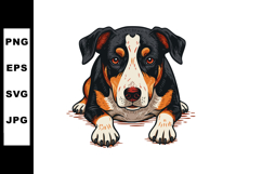 Entlebucher Mountain Dog lying down detailed vector illustra Product Image 1