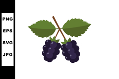 Blackberry fruit cluster with green leaves vector illustrati Product Image 1