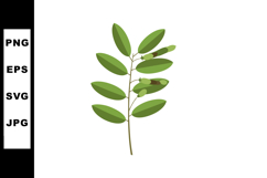 Green leaves branch with simple flat design vector illustrat Product Image 1