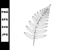 Fern Leaf Botanical Vector Illustration Black Outline Detail Product Image 1