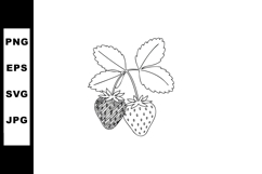 Strawberry fruit with leaves black and white line art vector Product Image 1