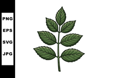 Green Leaf Branch with Detailed Veins Natural Plant Element Product Image 1