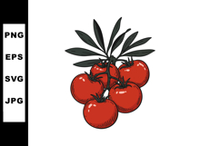Tomato branch with green leaves red ripe tomatoes vector ill Product Image 1