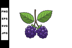Blackberry fruit with green leaves vector illustration in na Product Image 1