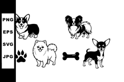 Corgi, Papillon, Pomeranian, Chihuahua dog breeds with paw p Product Image 1