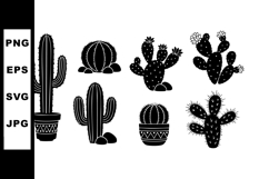 Collection of cactus and succulent plants in pots vector ill Product Image 1