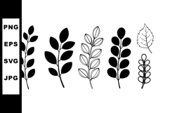 Vector set of black and white simple leaf silhouettes with v Product Image 1
