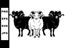 Ram sheep trio with black and white wool vector illustration Product Image 1