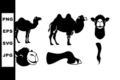 Camel silhouette vector set with various poses and detailed Product Image 1