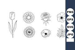 Simple black and white hand-drawn flower vector set with tul Product Image 1