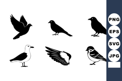 Silhouette birds vector collection with flying and perched p Product Image 1