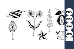 Medical botanical vector with stylized plants flowers Product Image 1