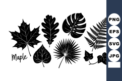 Collection of Various Leaf Silhouettes Including Maple Oak M Product Image 1
