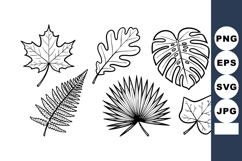 Collection of six detailed black and white leaf vector illus Product Image 1