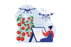 Female farmer monitoring tomato plants with drones in greenh Product Image 1