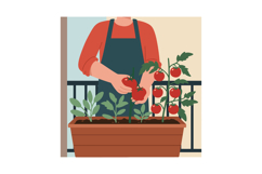 Person harvesting ripe red tomatoes in a flat style urban ba Product Image 1