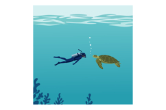 Scuba diver swimming underwater with sea turtle in calm ocea Product Image 1