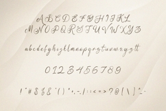 Ulya Elegant Script Font Product Image 7