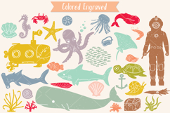 Hand-Drawn Colored Under the Sea Doodles | Ocean Life | Fish Product Image 6