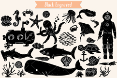 Hand-Drawn Under the Sea Doodles | Ocean Life | Fish Product Image 6