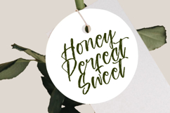 Ungkar Scripta - Modern Brush Font Product Image 6