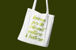 Ungkar Scripta - Modern Brush Font Product Image 9