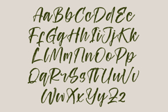 Ungkar Scripta - Modern Brush Font Product Image 14