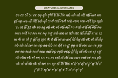 Ungkar Scripta - Modern Brush Font Product Image 18