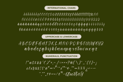 Ungkar Scripta - Modern Brush Font Product Image 19