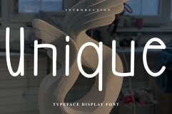 Unique Product Image 1