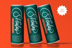 Uniquely Vifanite Bold Calligraphy Font Product Image 2