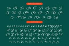 Uniquely Vifanite Bold Calligraphy Font Product Image 12