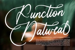 Uniquely Vifanite Bold Calligraphy Font Product Image 13