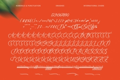 Uniquely Vifanite Bold Calligraphy Font Product Image 19