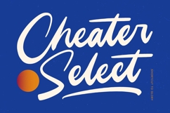 Unlatch Skater Bold Brush Font Product Image 11