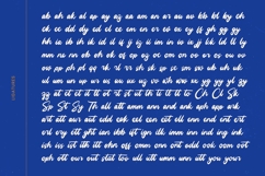 Unlatch Skater Bold Brush Font Product Image 18