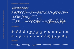 Unlatch Skater Bold Brush Font Product Image 19