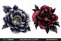 Dark Peony Illustration PNG Clipart Product Image 1