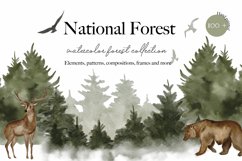 Watercolor Forest Digital Clipart Set - Forest landscape Product Image 1
