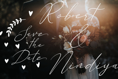 Alexandria - Modern Script Swash FOnt Product Image 2