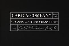 Alexandria - Modern Script Swash FOnt Product Image 4