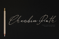 Alexandria - Modern Script Swash FOnt Product Image 5