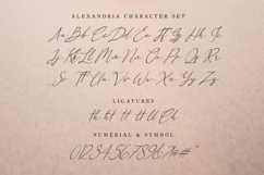 Alexandria - Modern Script Swash FOnt Product Image 6