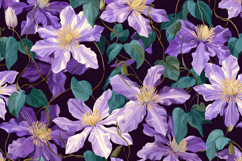 Clematis Flower Pattern | Clematis Flower Background Product Image 1