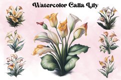 Watercolor Calla Lily Product Image 1